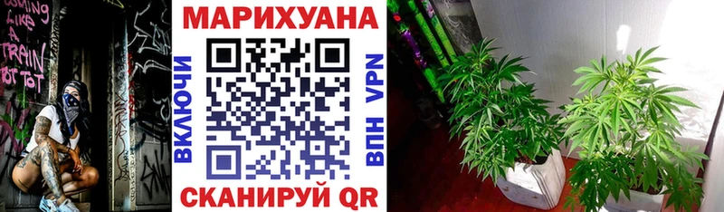 Шишки марихуана план  Купить  Мелеуз 